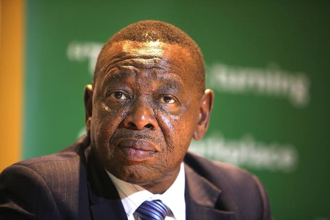 Minister Nzimande warns Africans against bogus institutions