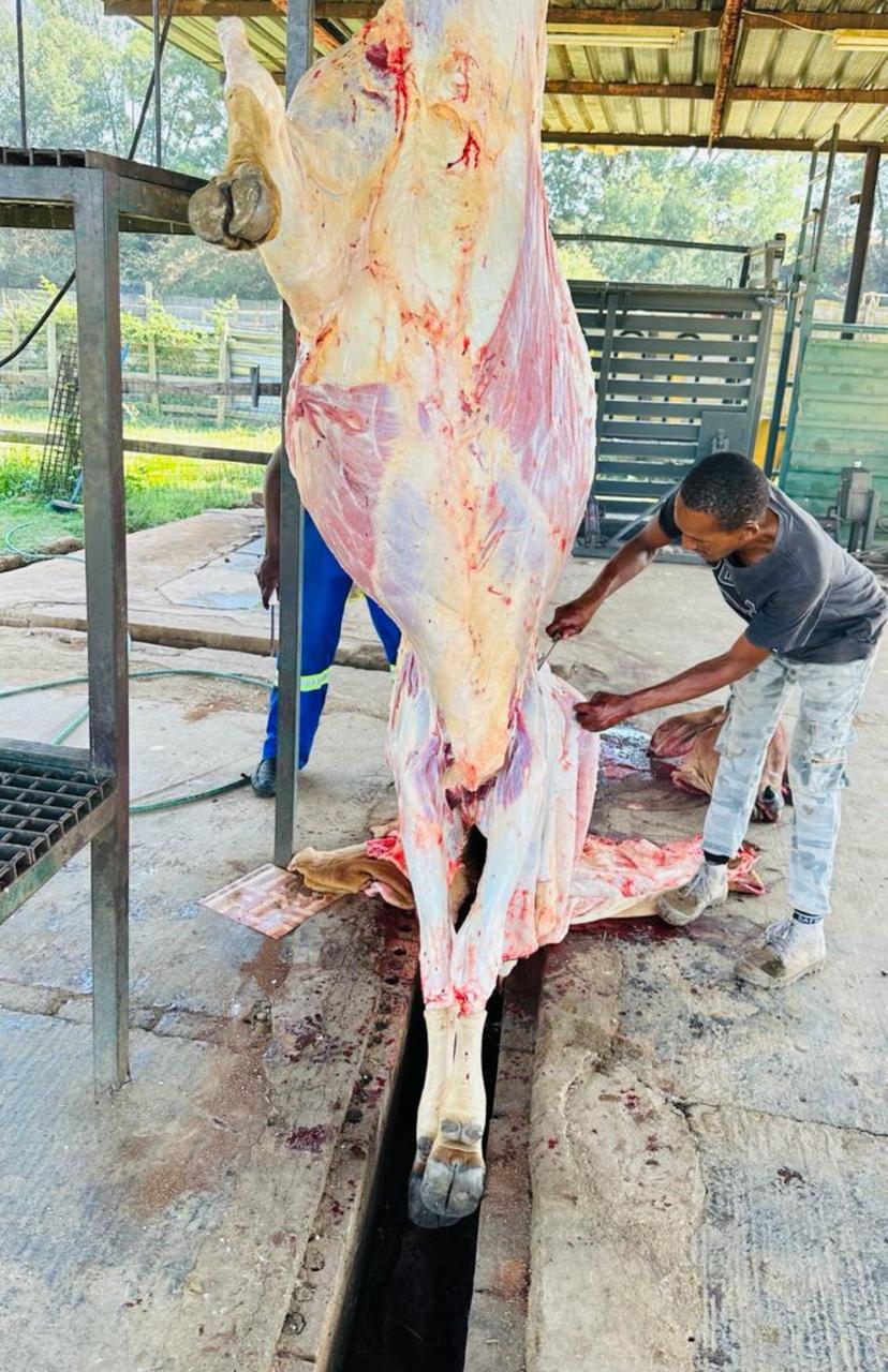 ALEX PARLIAMENT AND MAREMA’S OFFICE SLAUGHTER COW FOR RESIDENTS